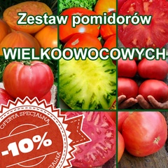 Zestaw Pomidory Wielkoowocowe