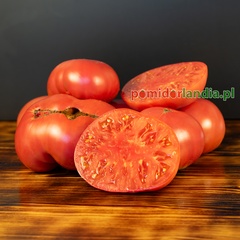 Brandywine Red