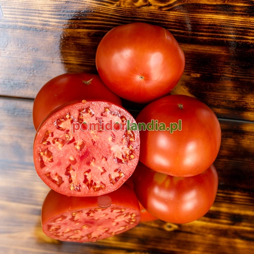 Merrill Schulz Beefsteak