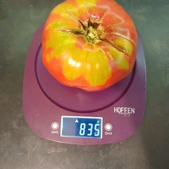 Israel – Piotr Sobiech, 835 g