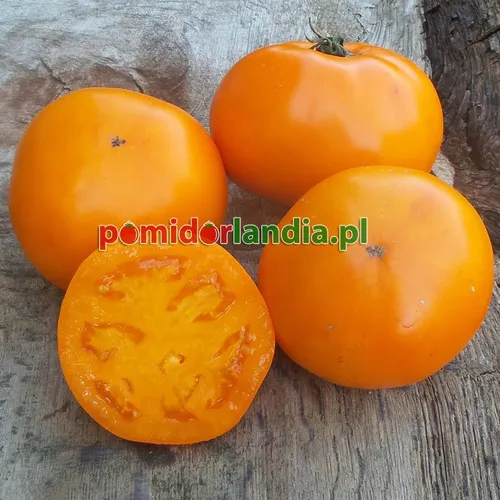 Pomarańczowe, kuliste owoce odmiany Tangerine na drewnianych deskach. Jeden owoc jest przekrojony, ukazując pomarańczowy miąższ.