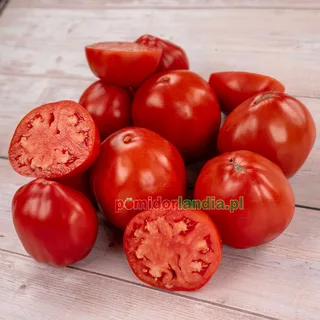 Big Raspberry — zdjęcie 2 z naszych upraw, sezon 2026