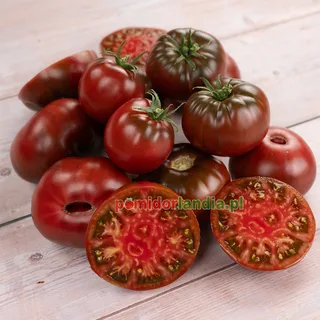 Black Krim — zdjęcie 5 z naszych upraw, sezon 2026