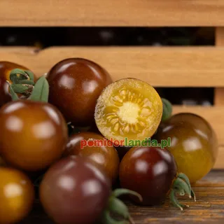 Blue Gold Berries — zdjęcie 5 z naszych upraw, sezon 2026