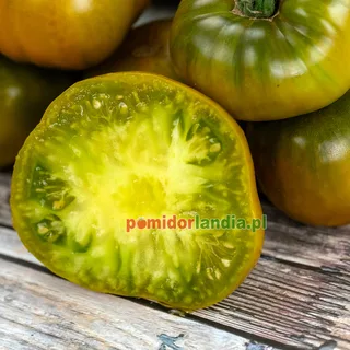 Emerald Apple — zdjęcie 3 z naszych upraw, sezon 2026
