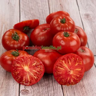 Neves Azorean Red — zdjęcie 1 z naszych upraw, sezon 2026